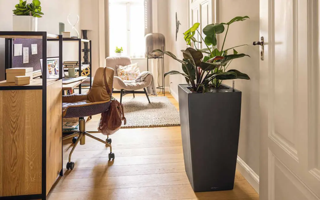 Gärtner für Raumbegrünung