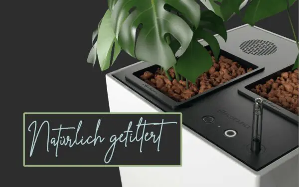 AirCleanPro Natürlich gefiltert