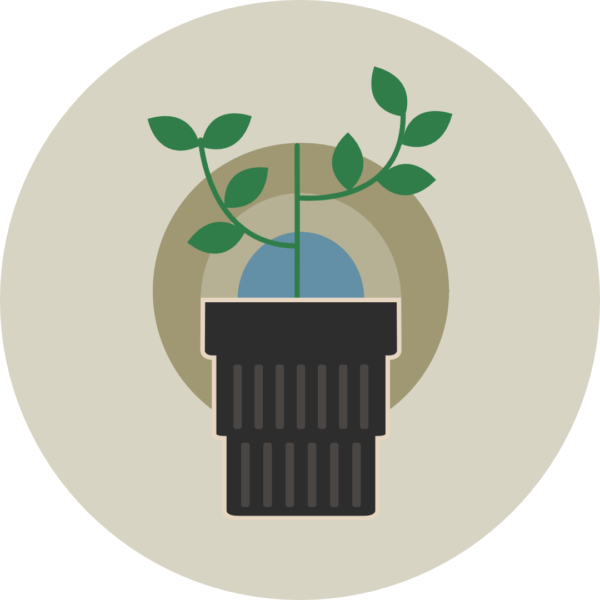 aircleanpro pflanzen