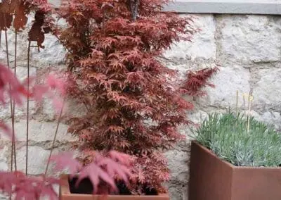 Blumen Speth Gartenausstellung10