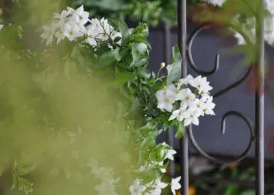 Blumen Speth Gartenausstellung7