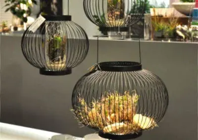 Blumen Speth Laternen