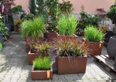 esteras rost gräser