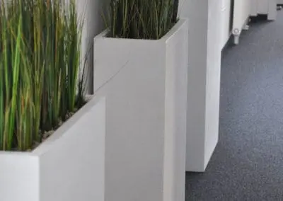 Graeser In Grossen Gefaessen