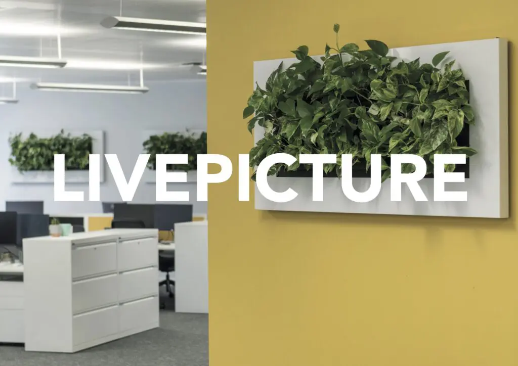 mobilane livepicture