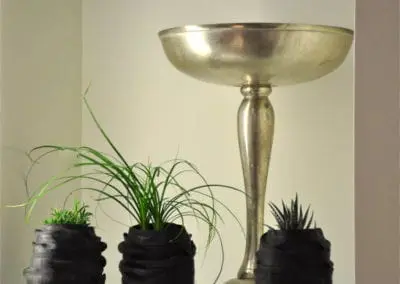 Silberkelch Blumen Speth