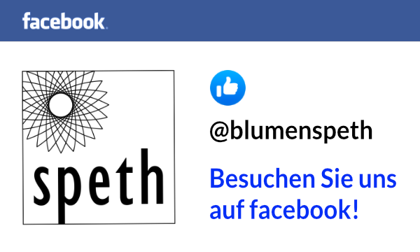 speth facebook banner neu speth facebook banner neu