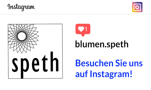 speth instagram banner speth instagram banner