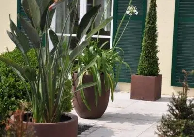 Terrassen Begruenung10