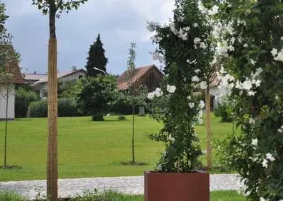 Terrassen Begruenung11