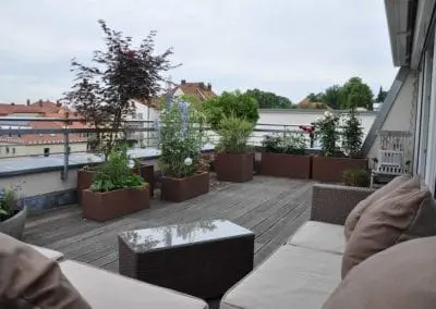 Terrassen Begruenung15