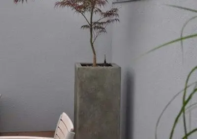 Terrassen Begruenung20