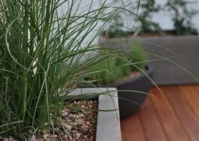 Terrassen Begruenung21