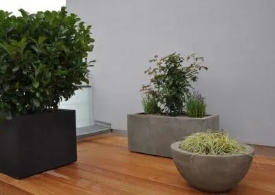 Terrassen Begruenung22