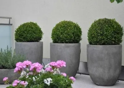 Terrassen Begruenung25