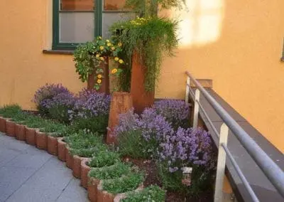 Terrassen Begruenung26