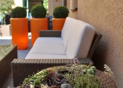 Terrassen Begruenung27