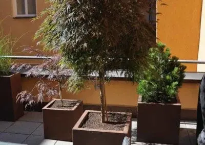 Terrassen Begruenung28