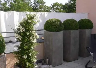 Terrassen Begruenung30