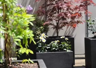 Terrassen Begruenung34