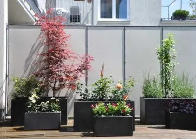 Terrassen Begruenung35