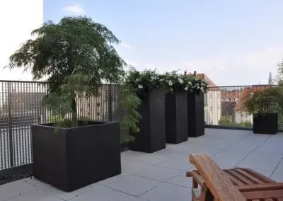 Terrassen Begruenung40