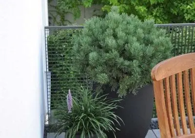Terrassen Begruenung41