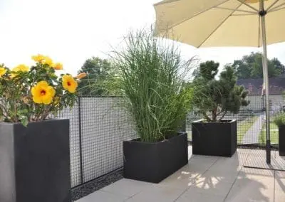 Terrassen Begruenung42