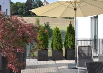 Terrassen Begruenung43