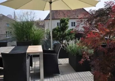 Terrassen Begruenung45