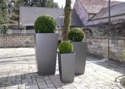 Terrassen Begruenung49