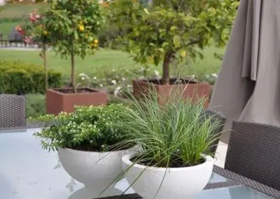 Terrassen Begruenung8