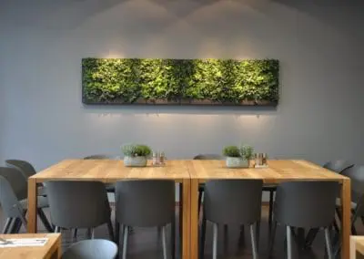 Wandbegruenung Konferenzraum