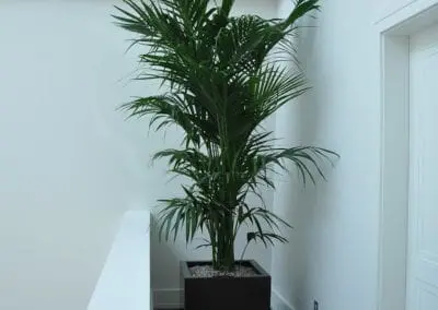 Wohnraum Buero 07 11